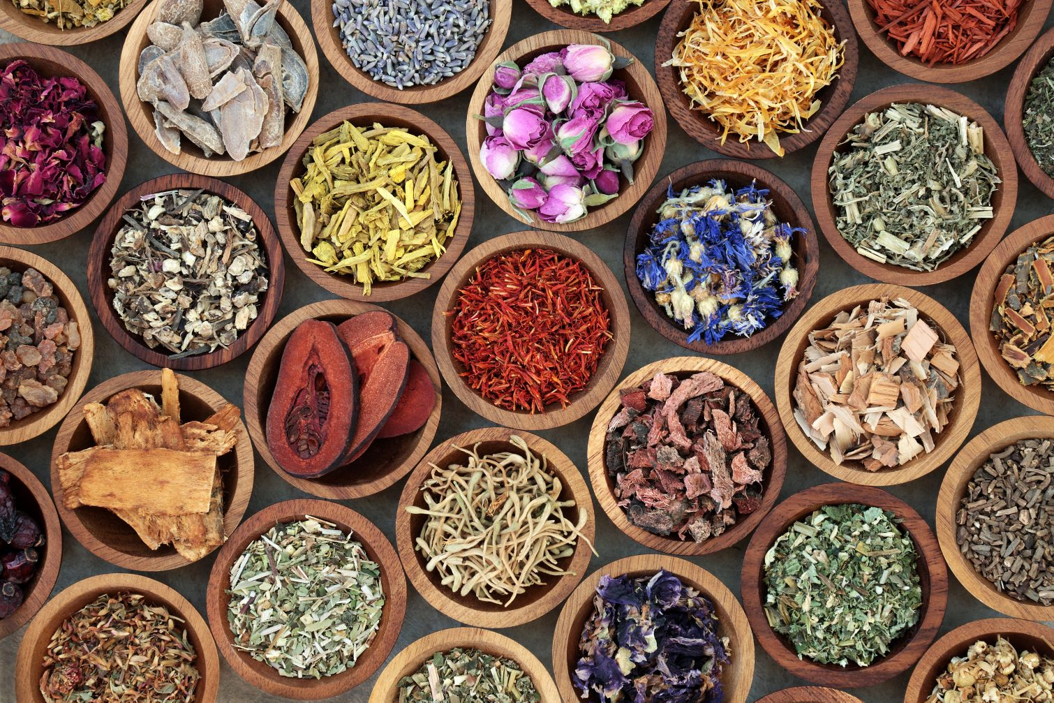raditional Ayurvedic herbs including turmeric, ashwagandha, and tulsi—cornerstones of natural immunity- blogs.myhealthlogy.com